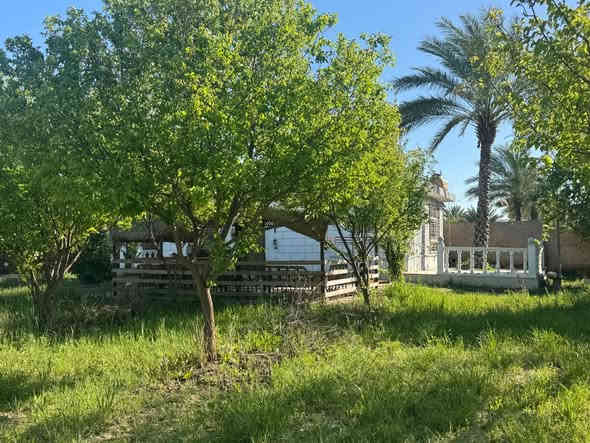 بستان ملك صرف زراعي المساحة دونم ونص الواجهة ٥٠ والنزال ٧٥ مسيجة بي ار سي وقرميد 

مي اسالة - مي سقي - بير ارتوازي - كهرباء وطنية- كهرباء مولدة - دار استراحة مساحة ١١٠ متر 

يحتوي اشجار (عرموط- مشمش- زيتون - حمضيات -نخل)

المكان بغداد_ الراشدية- منطقة الساده البو حياة-بلوك المهندسين 

***********
