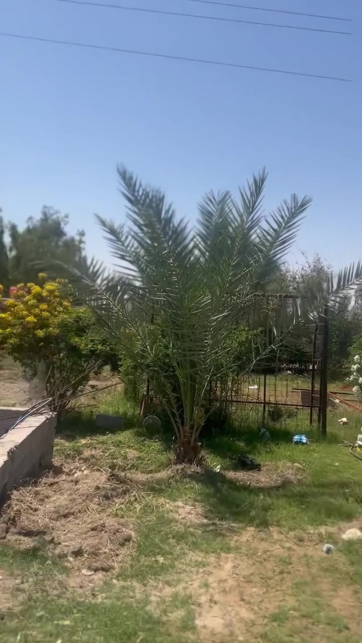 مزرعه تجاريه عله شارع كربلاء عمود ١٧٦ ركن مروس اوللبيع مسیجه بل کامل معه بيت مساحه ٣٥٠ خط ماء كهرباء کافه الخدمات موقع مميز عله شارع . سعر مناسب شراي *********** يتصل ويدلل

أ

إضافة
