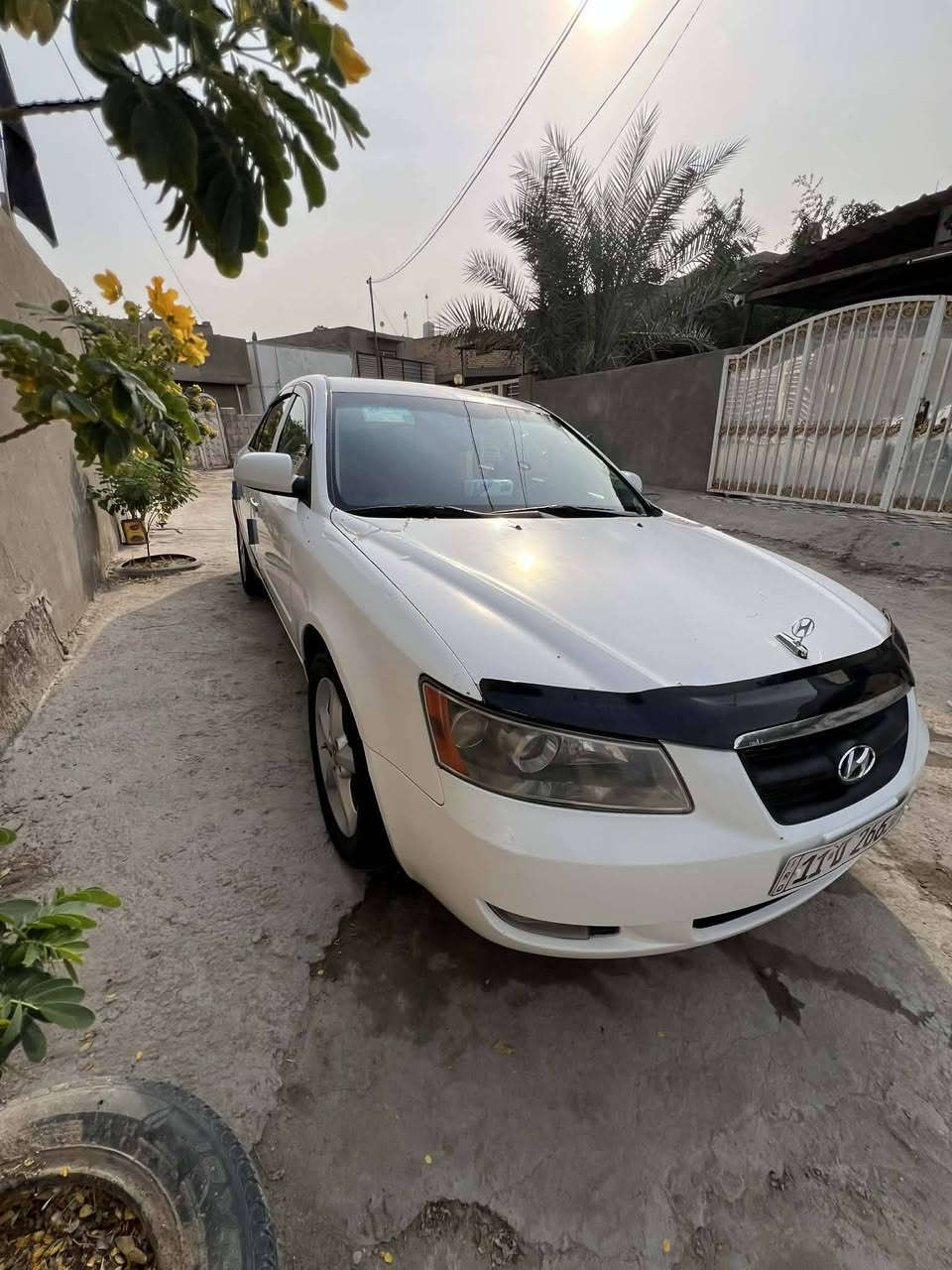 سوناتا 2006 وارد امريكي محرك سته سلندر فول مواصفات فتحه تحكم ستيرن مانع انزلاق كير محرك جديد تخم تاير جديد حداديه جاهزه تبريد سلايد روف شغال رقم بغداد بسمي صبغ حزام اثر تكشير بدون معجون او ضربه جاهزه من كلشي السعر 92 وبيها مجال شي قليل مكاني بابل ***********
