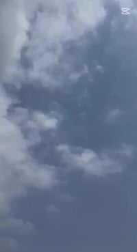 ماكس • بوشه ٥٥ • شلعه