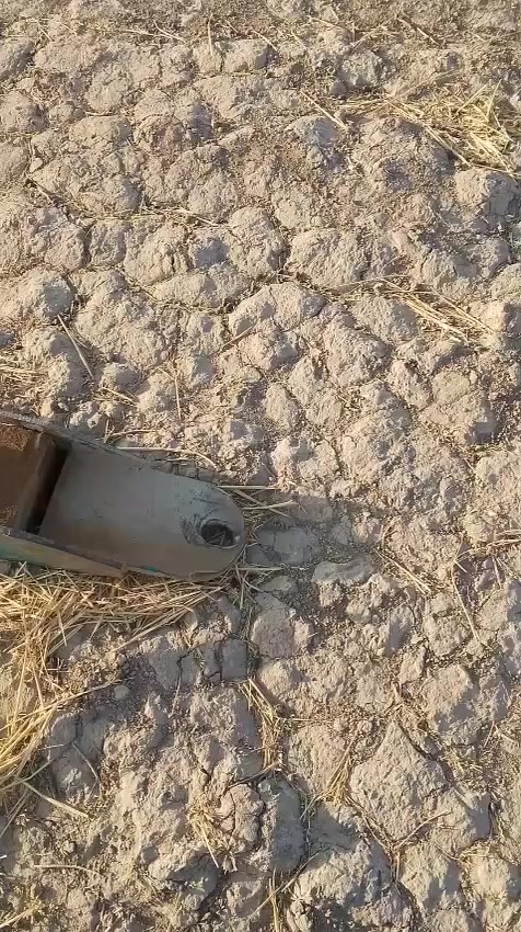 *********** مكلف بنشر
