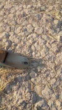 07817356680 مكلف بنشر