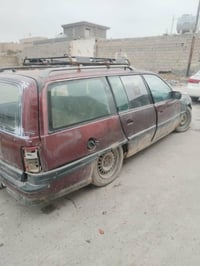 اوبل اوميكا • تفصيخ • الرمادي