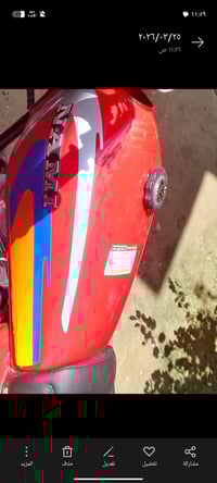 مراوس • سود • ابيض