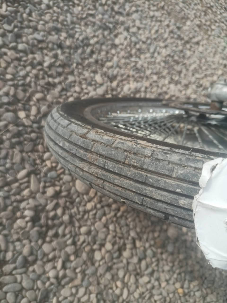 نامي پرو خمسه گير موديل 2020 اوراق بي محرك مفتوح بس بشرط محركه ميتين200 صفح كلاج جديد بدلته تاير گدام جديد بدلته كوشن جديد شادله تانكي وصفاحيات جديد كهربايات شغال ماطور فول فول شلعته بشرط ميت فيتر ابيعه سعره 420 بي مجال بصيط مكاني خانقين ميخاس شراي يتصل ***********
