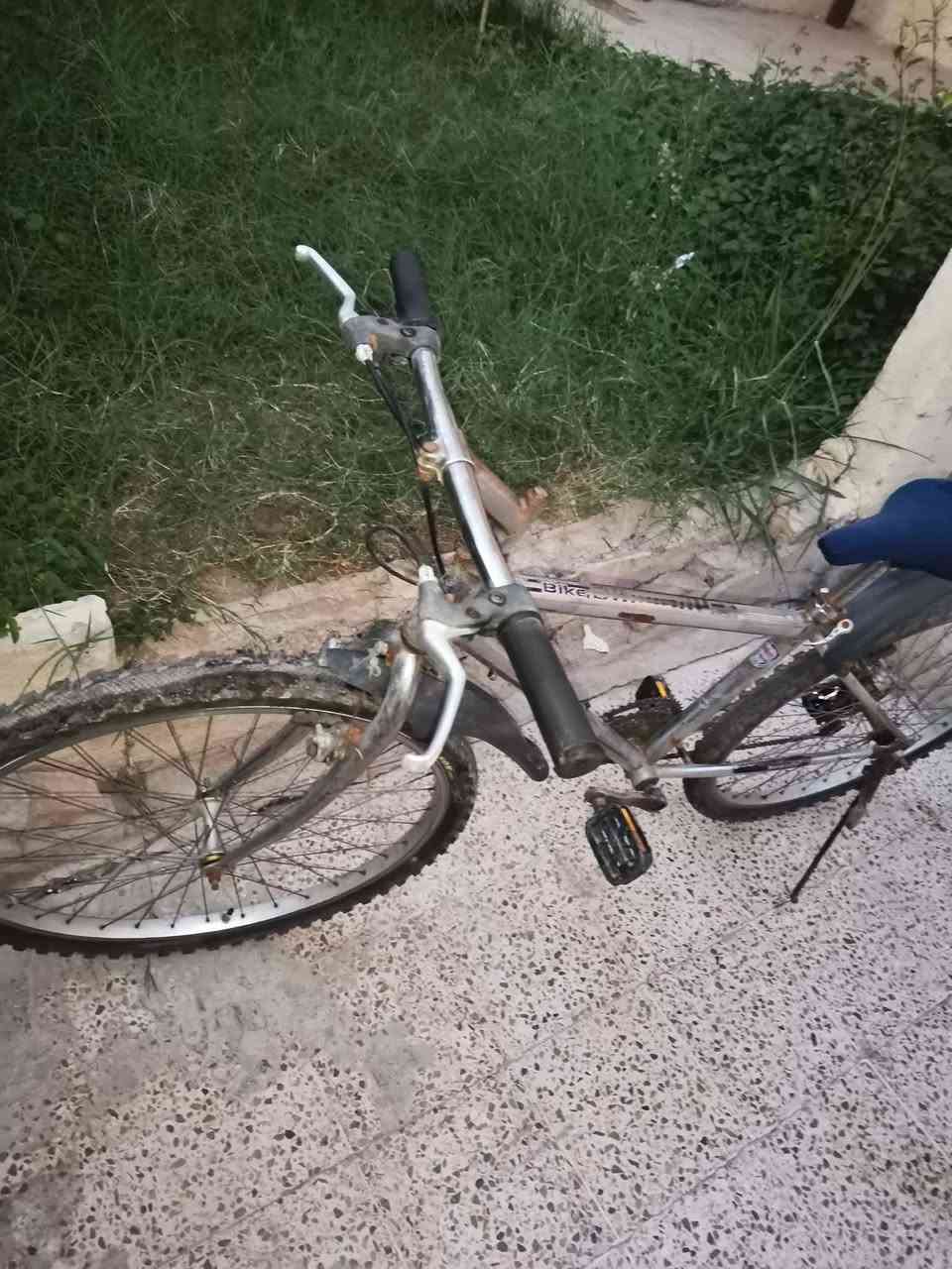 بايسكل جبلي
كير شغال اصطابات شغاله، كامل سعره 35 الف
مكان الموصل الجانب الأيمن حي الزنجلي


**إذا كنت صاحب هذا الإعلان وتريد حذفه لأي سبب، رجاءا أرسل رسالة إلى الدعم الفني**