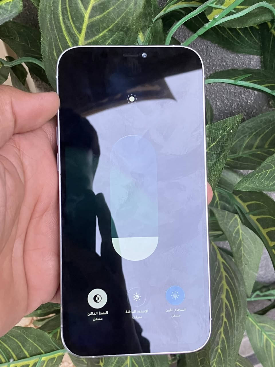 السلام عليكم
12 برو ماكس 

مبدل شاشه اصلي اصلي ب80 ألف

وبطاريه اصليه أنسى الصرف 

بي كسر بل زجاج الكامره 

بصمه واكفه 

السعر 325

بغداد مدينه الصدر الاورفلي


**إذا كنت صاحب هذا الإعلان وتريد حذفه لأي سبب، رجاءا أرسل رسالة إلى الدعم الفني**