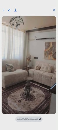 تخم • مجال • ديوان