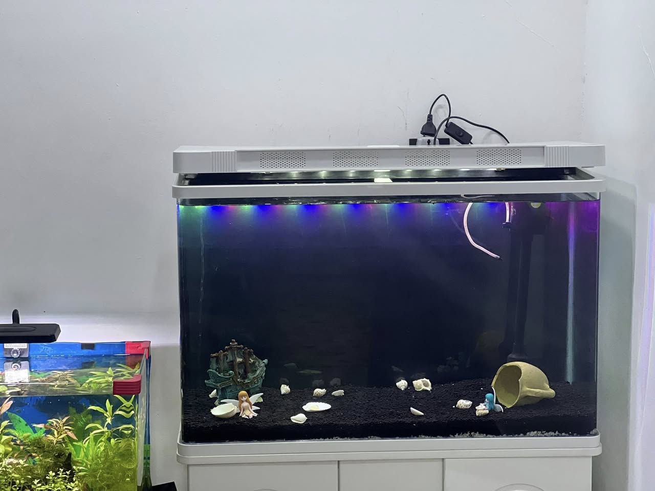 حوض اسماك البيع بس الحوض بدون ميز السعر ١٠٠الف الي يريد يتفضل خاص أو يخابرني عل رقم ***********
