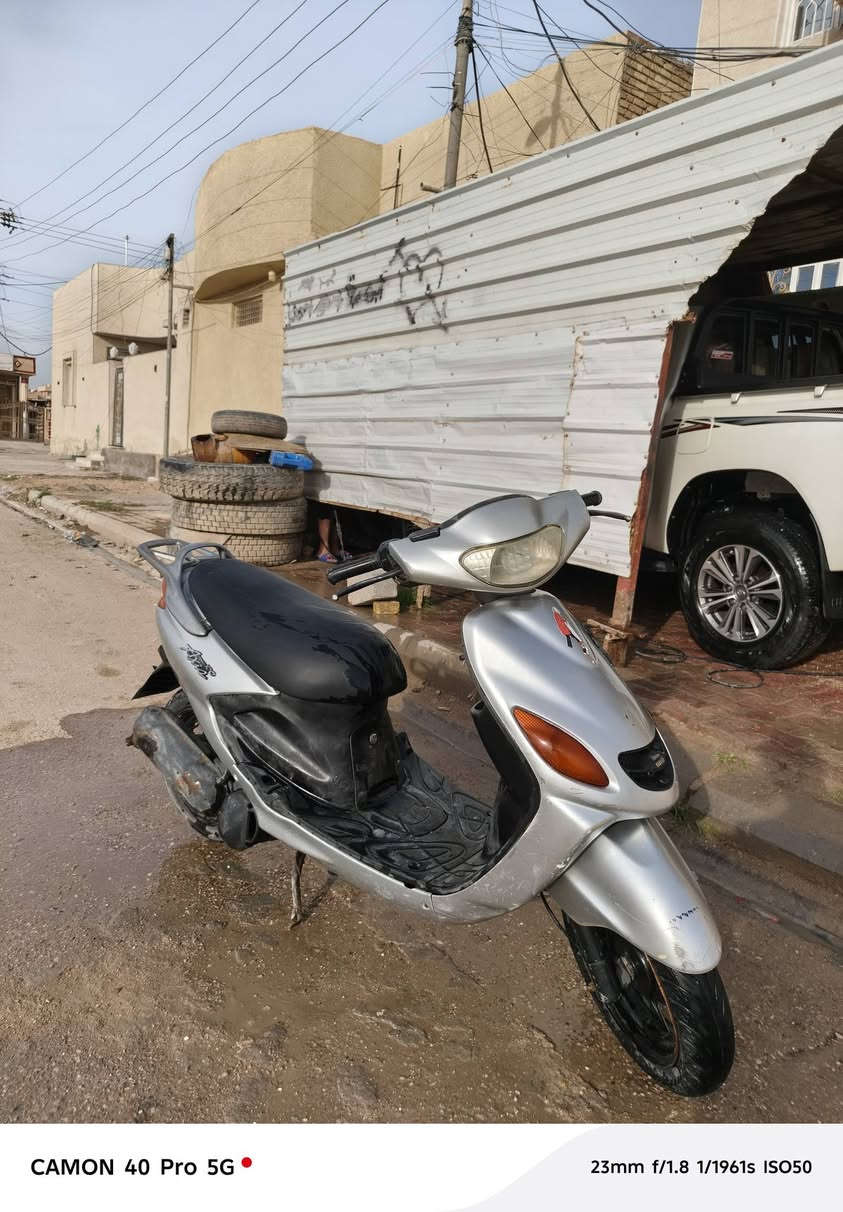 دولفين للبيع السعر ٥٠٠ وبيها مجال*********** واتساب
