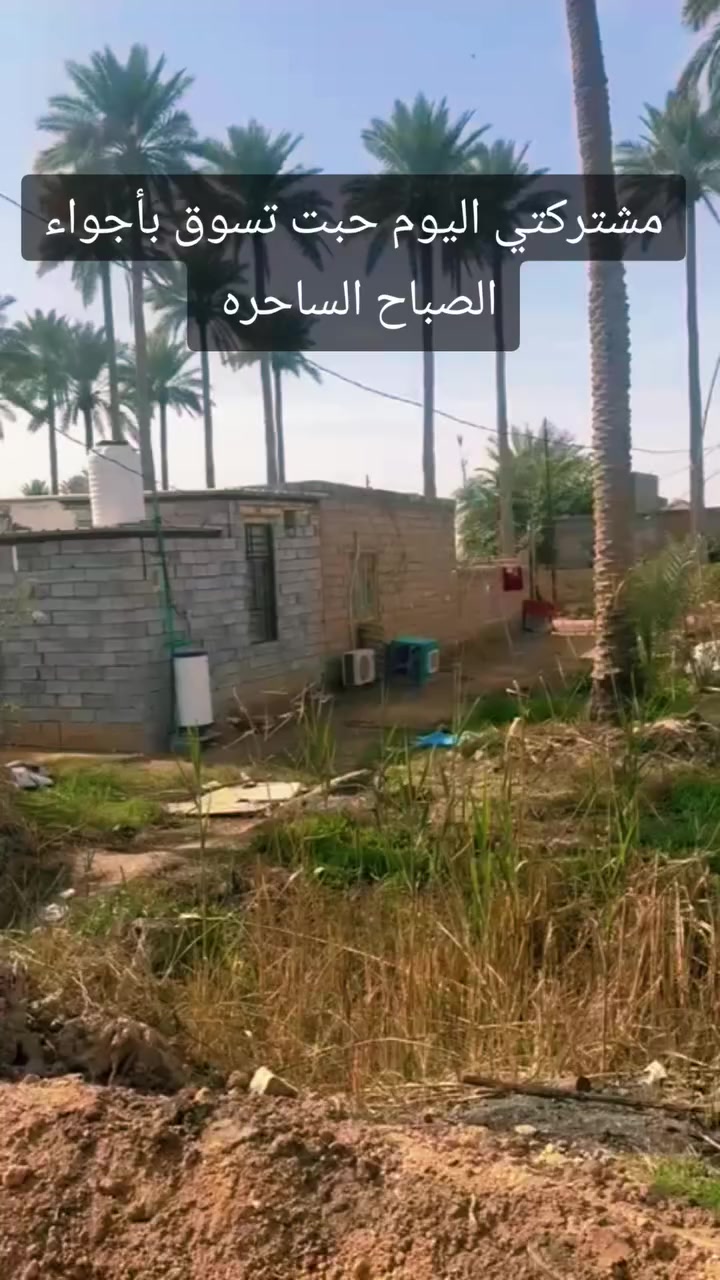 بدينه باستلام حجوزات التدريب الحجز مفتوح الان 🫶🫶🫶
كورس كامل من الصفر للشارع العام 150الف بس😍😍😍
العنوان 🏢 نجف ابوصخير شارع الاطفاء 
رقم الحجز *********** للنساء 
*********** للرجال
