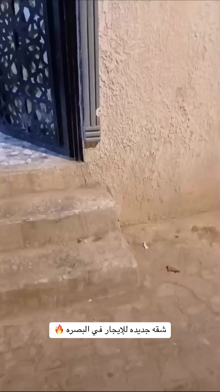 شقه للإيجار نظيفه جدا
في البصره ( بين العاليه وصبخه العرب ) 
طابق ارضي متكونه من 
غرفتين + ستقبال + صحيات داخليه وخارجيه + منور عدد 2 

الشقه كامله مكمله ماء كهرباء تانكي ماء كيزر كهرباء 

بناء 2023 نظيفه جدا 🤩
سعر الايجار الشهري : 450،000 الف قفل 

للاستفسار : *********** / اتصال فقط او واتساب
