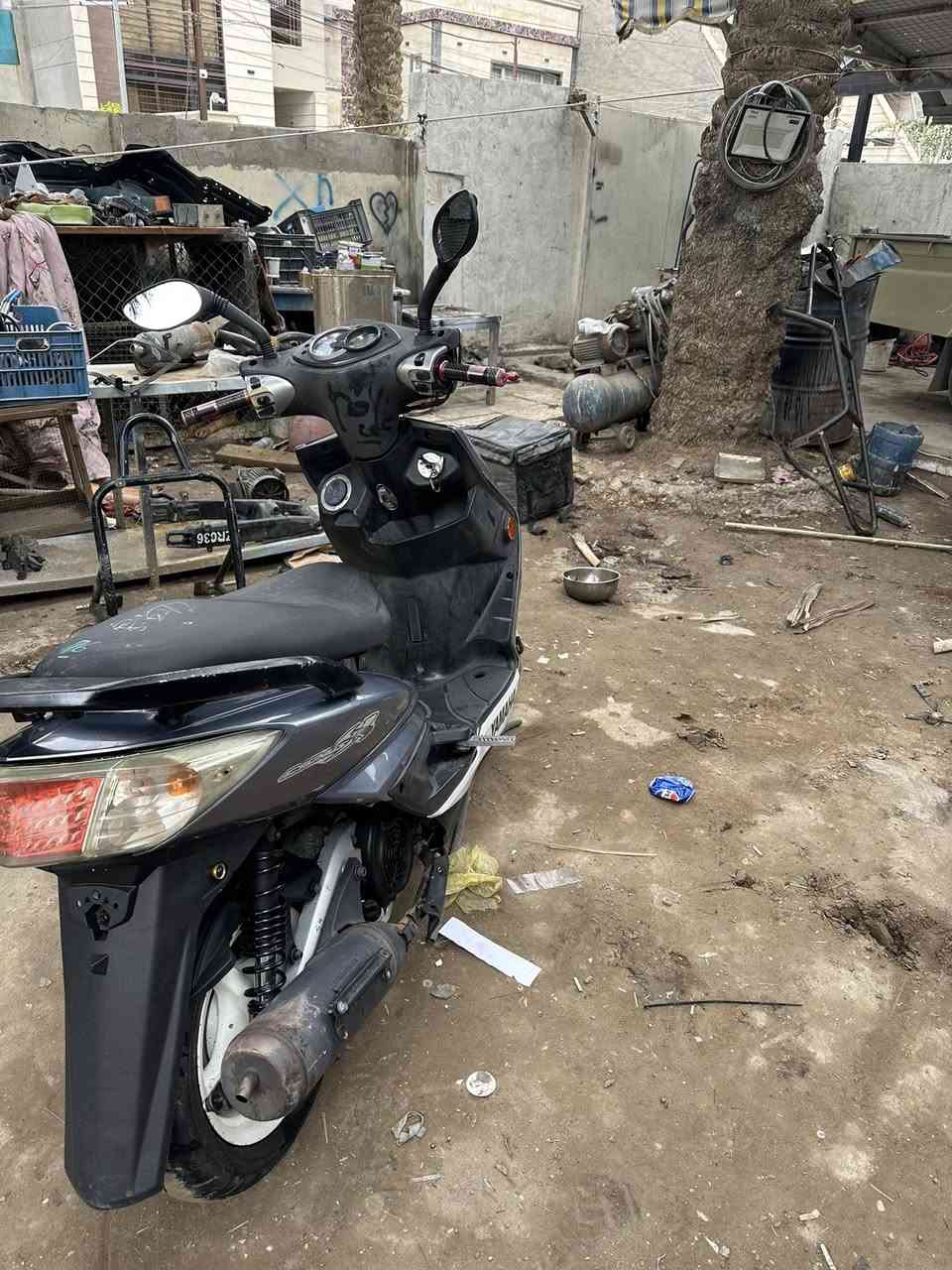 سلام عليكم سكنس فحل حديث ام الطلاعات مكفوله الدراجه ماشيه 31 الف حقيقي مكاني بغداد حي الجامعه ***********
