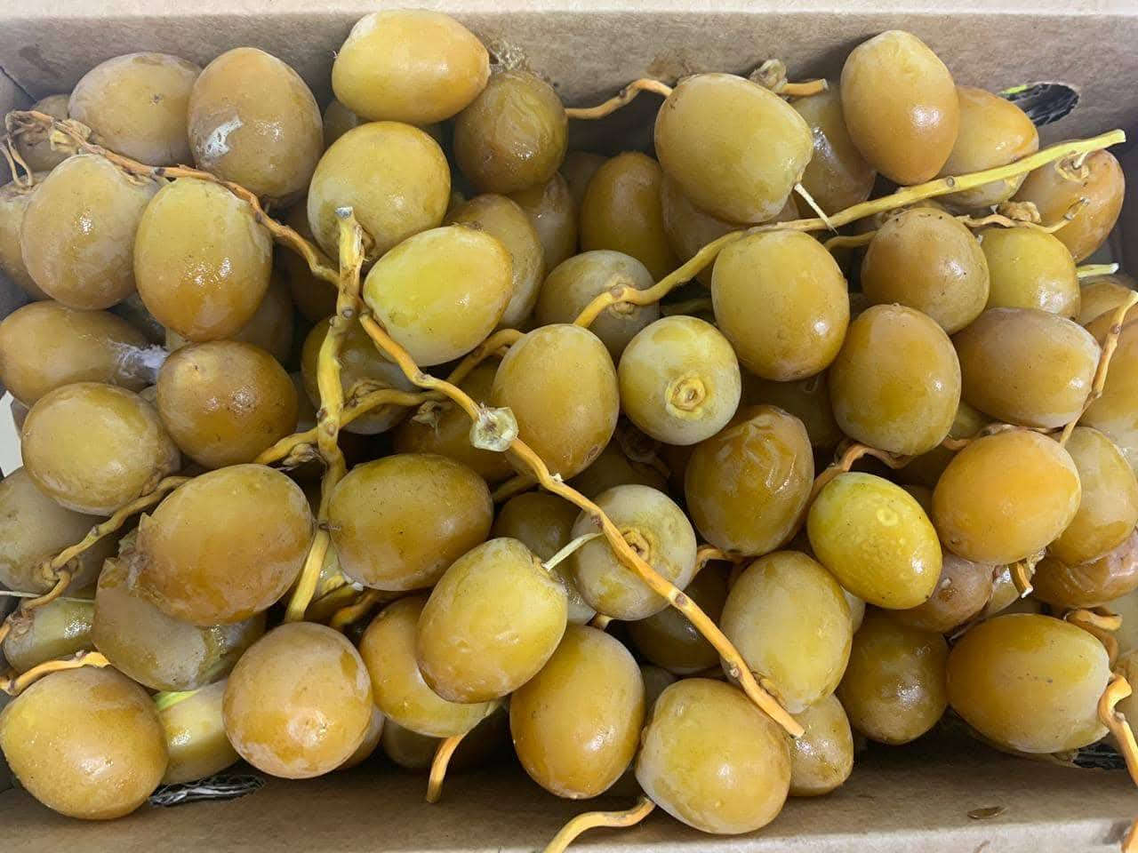 🔥 تمر زهدي  جديد – أصلي 100% 🔥
📦 كل علبة تحتوي على 2.750 كغم
4 علب⚖️ يعني 11 كيلو  كغم (11 كيلو  غرام )
💰 السعر: 25,000 دينار فقط توصيل مجاني لجميع محافظات العراق 
🚚 
📍 التوصيل يشمل جميع محافظات العراق
✨ جودة عالية – طعم مميز – كميات محدودة
📞 للحجز والاستفسار راسلنا خاص
***********
الفحص امام المندوب اذا مو جديد يرجع
