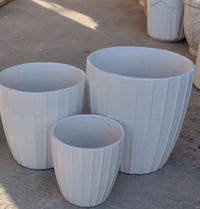 نبات طبيعي • توصيل • بابل المحاويل