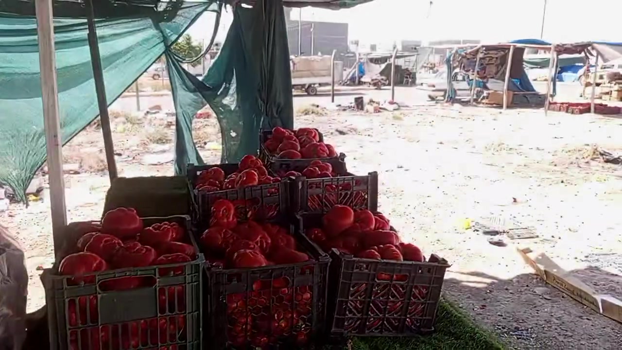مسواك بلاش عراقي كله عنوان تقاطع سبعنيسان


**إذا كنت صاحب هذا الإعلان وتريد حذفه لأي سبب، رجاءا أرسل رسالة إلى الدعم الفني**