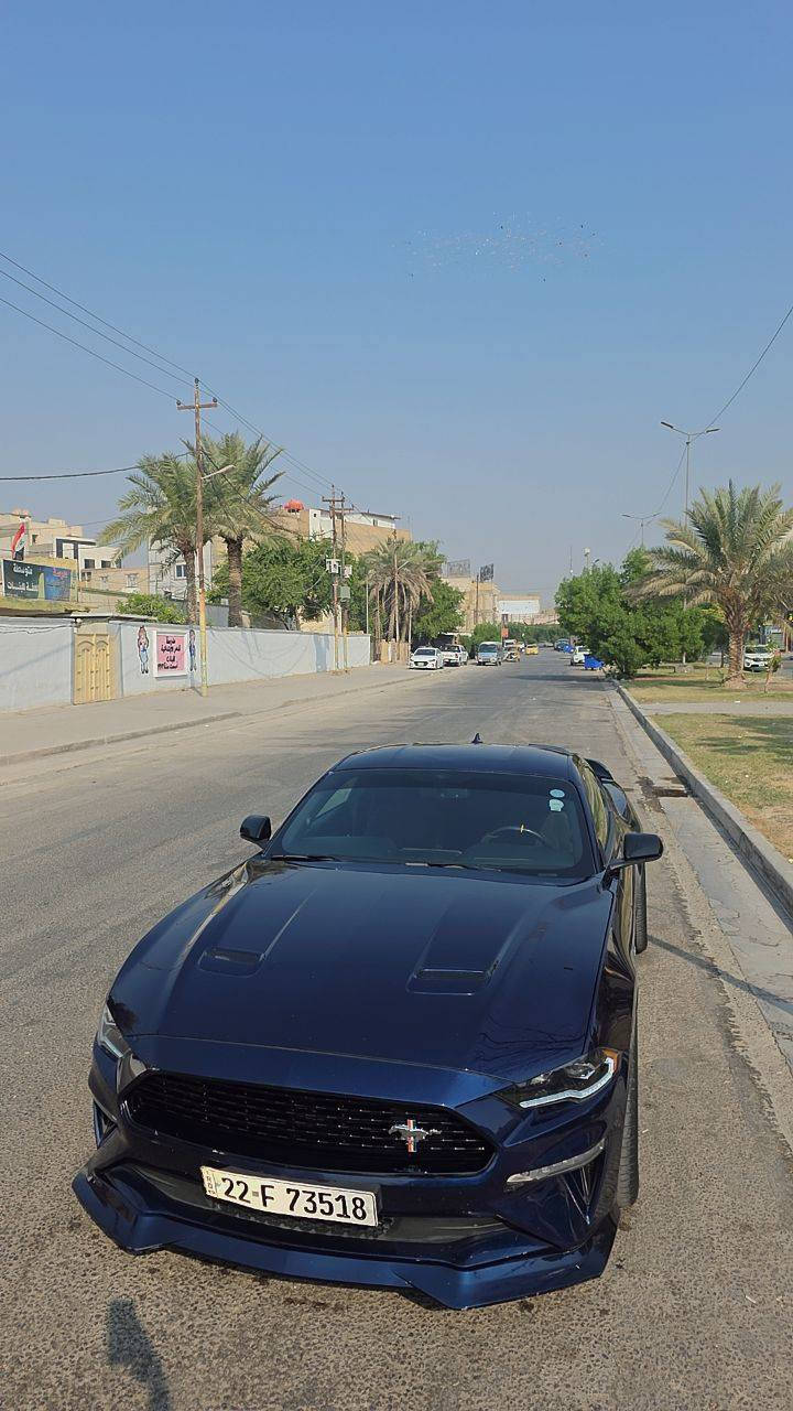 السـلام علـيكم
فورد مـوستنگ 2020 GT 5.0
الممشى 48 mli الحادث مرفق بل منشور
رقم اربيل ، السياره عليها شوته روش وكزوز اكتف ، دفيوزر شيلبي ودبات روش ، وعليها تخم ويل فورجد ،  دركه كاربون فايبر ، گيجات التراك بگج ، مكينه جديده وقويه ، السعر 19800$ - المكان كربلاء 
***********
