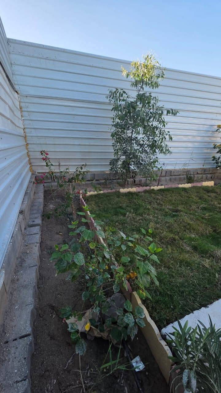 السلام عليكم ورحمة الله
وفرنالكم 
شاليه للبيع تريد سكن تريد استراحه
#مساحه 200 متر 
#السعر 40 
#موقع مميز في البصره ابي الخصيب شارع المحكمه الجديده (كوت الحمداني )
يحتوي على غرفه للاستراحه 
وصحيات 
وكراج
شلال 
الباقي حديقه 
كافة الخدمات متوفره
شارع ١٠ متر ***********
