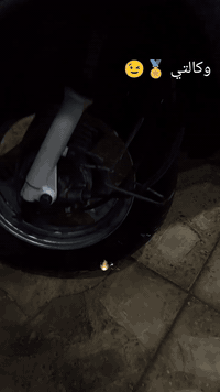 دراجة منغولية • معدلة • كربلاء القدس