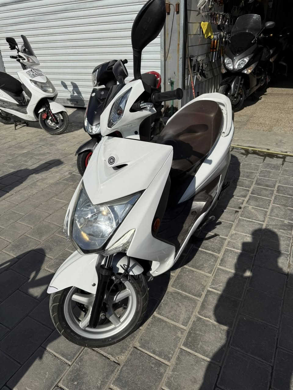 معرض الواثق لتجارة الدراجات النارية 
رقم بغداد مشروع وطني تحويل مباشر 
متوفر ياماها سكنس لد
 وارد يابان 
قبق نفخ 
استان كهربائي 
داخل جگليتي 
عداد الممشى 27,000
جاهزة وكاملة على اخر حباية ومكفولة من النقص 

السعر 26 ورقة وبيها مجال قليل حك الجية 
***********
***********
