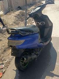 دراجة فراشة • فحل • خاص