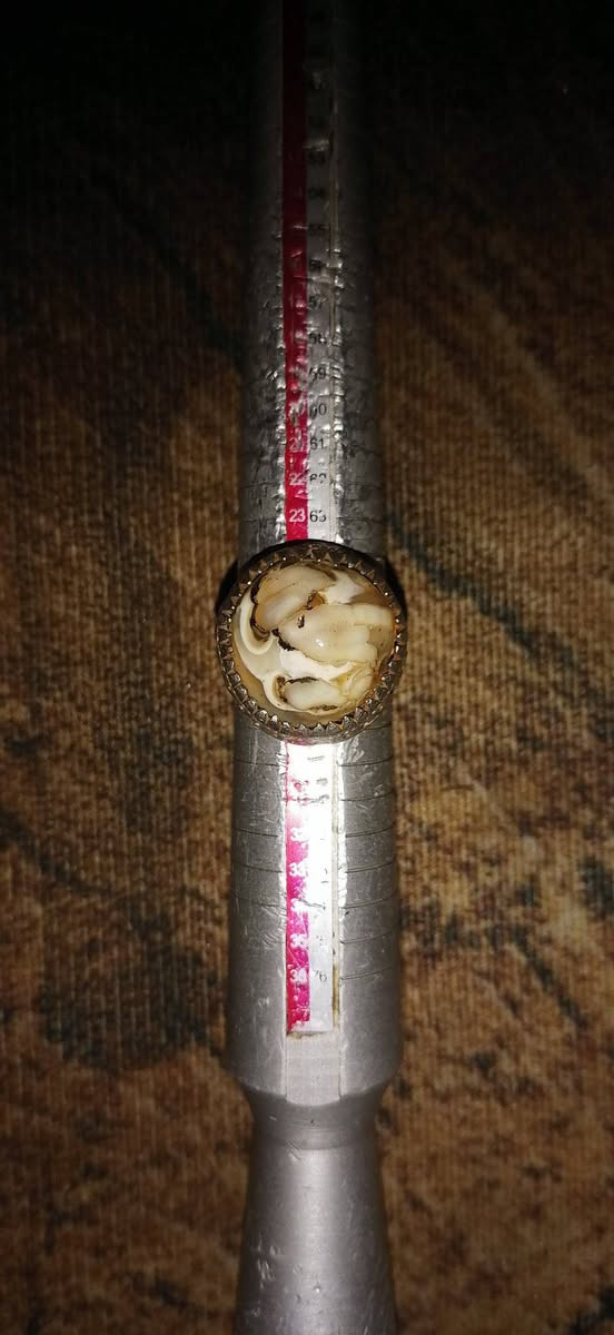 عطف داوودي نوادر قطعة قديمة كلش الصورة تسولف (مصور رباني) صياغة يدوي فضة 925 ثقيلة مشروط عام محبة جلب عقد لسان تسهيل امور جاه وجه مفول تفول


**إذا كنت صاحب هذا الإعلان وتريد حذفه لأي سبب، رجاءا أرسل رسالة إلى الدعم الفني**