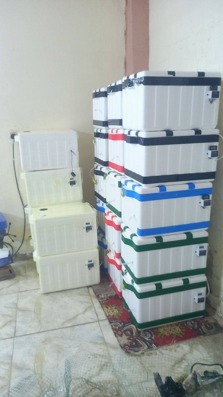 السلام عليكم ورحمة الله وبركاتة توفر فقاسات بسعر ٥٠الف بدل ال٦٠الف مع التوصيل مجاني لباب البيت فقاسه عالميه حساس مروحه حساس رطوبه حساس حراره فتحات تهويه جامه للنضر للبيض وتجيك طاسه مي مال فقاسه تجيك الفقاسه كامله نسبه التفقيس 95 بل 100اذا ما صار انتاج ترجع الفقاسه وترجع فلوس واضل وياك لحد ما تنتج الفقاسه للاستفسار او الحجز ***********
