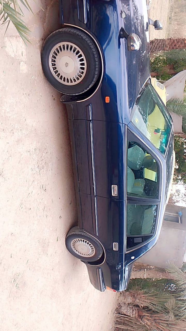 السلام عليكم راس الثور تكم مديل 98 لون حبري سياره خمس دكم صاصي 55 فحل سياره مكفوله من كص ونقل وضربه مكينه وكير جدد مكينه تلث تالاف فيشه وبطل اسود حداديه جديده تخم تاير جديد سنويه لل28مداور ثاني يوم كرهبائيات على وضع الشركه السعر 100وبيها مجال مكاني نجف المشخاب  رقمي ***********
