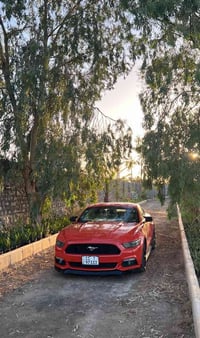 المميز للبيع موستنك 2015  محرك V6 3700 🚀 المرغوب كير اوتماتيك  لون ممي...
