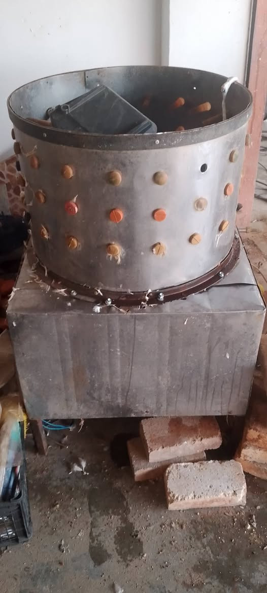 هلاس دجاج مستعمال لبيع


**إذا كنت صاحب هذا الإعلان وتريد حذفه لأي سبب، رجاءا أرسل رسالة إلى الدعم الفني**