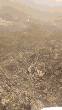 كاع 100متر زراعي البيع5مليون بيها مجال ستفسار07710622197