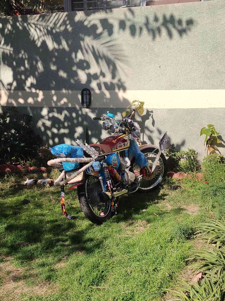 سلام عليكم تايكر ٢٤ الدراجه احله من الصور نضيفه كلش مال جناي مجمبزه مذب عليها ربع مناقصها كلشي اكفللكياها كفاله عامه المعرك لاتبخير ولا تنقيص وسبانه ممدوده عليه اوراق ورقه وحده مال شركه كارتوني تجي تفحص وتاخذ لاميله لا جفيه دراجه تخبل عقل رياضي صلنصه باكستاني نص جعره دشبول شغال اشاير شغالات نشرات بلاقواس  مكانها ديالى الخالص فلكت مصطفى جواد  اكتب سعرك بتعاليق واني ادخلك خاص او اتصل ***********
