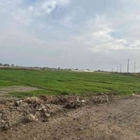 البوعيثة • مقابل ارض الاحلام • ٢ دونم