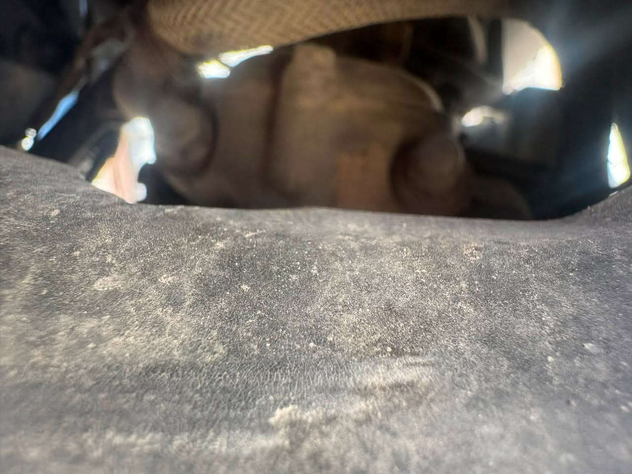 سلام عليكم سكنس جبلي بلاديه مكفوله دراجه بلاديه ختم واحد عوده شويه ترتيبات مال رمه دراجه سعره ٩٠٠بيه مجال للطيين مكان بغداد الكاظميه رقم تواصل ***********
