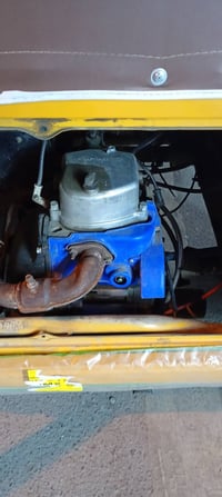 تكتك ٢٠٢٠ • أوراق أصلية • بلادية بدون صبغ