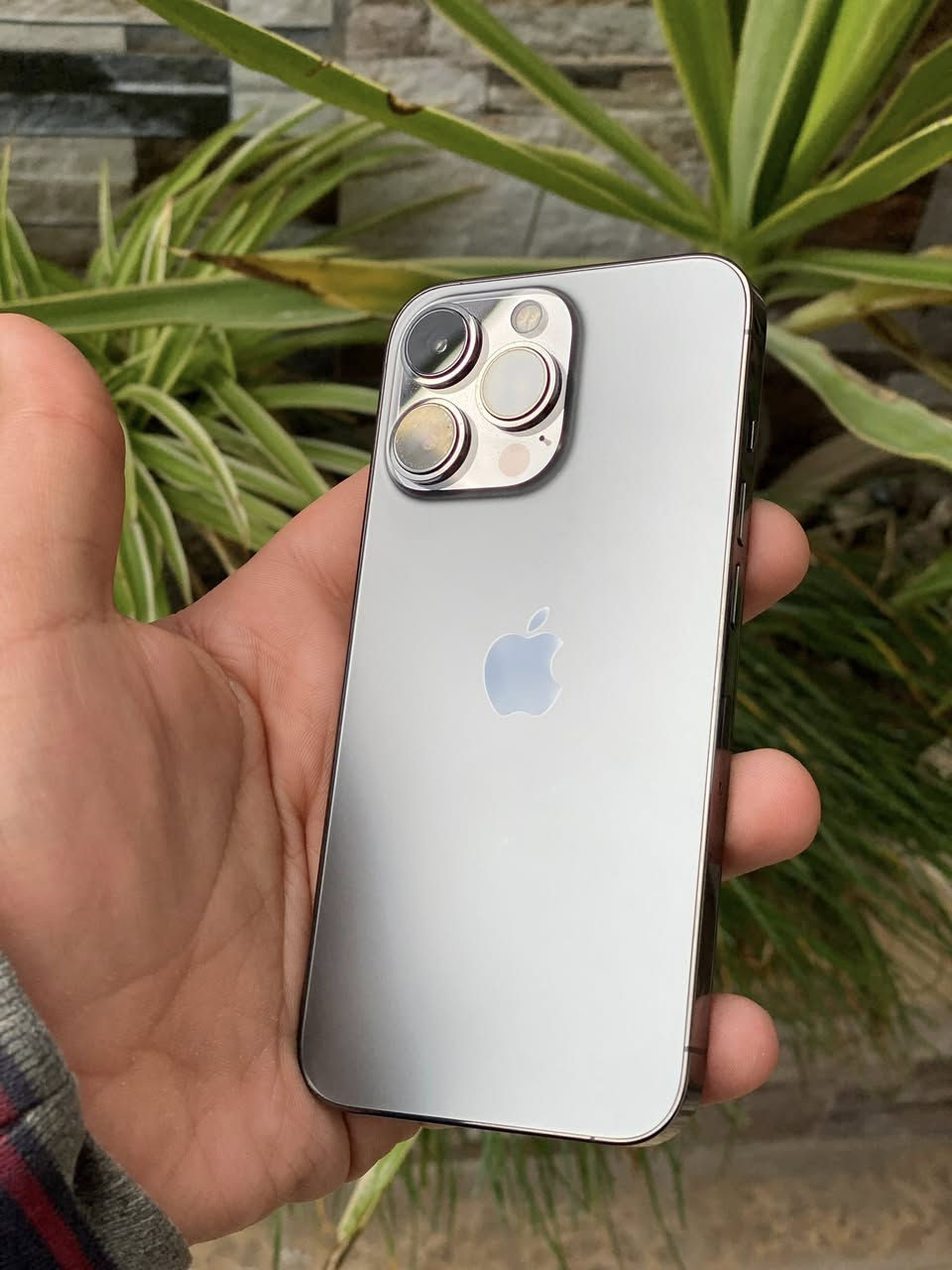 سلام عليكم
iPhone 13 Pro 
ذاكرة 256
بطارية 74 قطارة
تك
فيس إيدي شغال
نموذج M
وتر بروف 
جهاز شرط ما مفتوح تخلي بل ماء وتاخذو
كامرة X0.5 كامرة واسعة ما شغالة 
جهاز نضيف كدام العين 
سعر 480 وبي مجال 
استفسار اكثر أتصل 
*********** واتساب 
مكاني موصل ايسر
