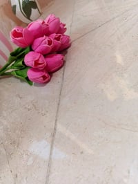 ورود • متدلي ليمون • توصيل العزيزيه