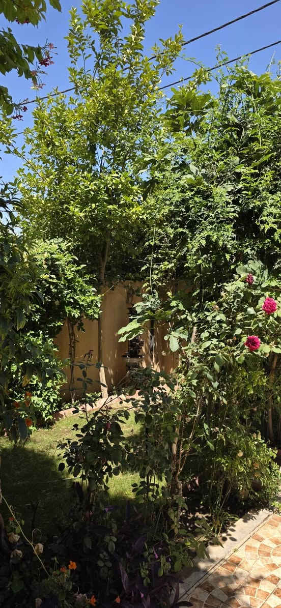 🏡 دار للبيع في مجمع الكوثر السكني

🔹 المساحة: 150 متر مربع
🔹 طابقين
🔹 الطابق العلوي: غرفة نوم
🔹 الطابق السفلي: غرفة نوم + استقبال + مطبخ

✅ البيت حر وغير مطلوب
✅ باسم شخص واحد
✅ موقع هادئ ونظيف جداً

📞 للاستفسار:
***********
