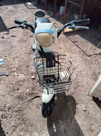 07773863255
