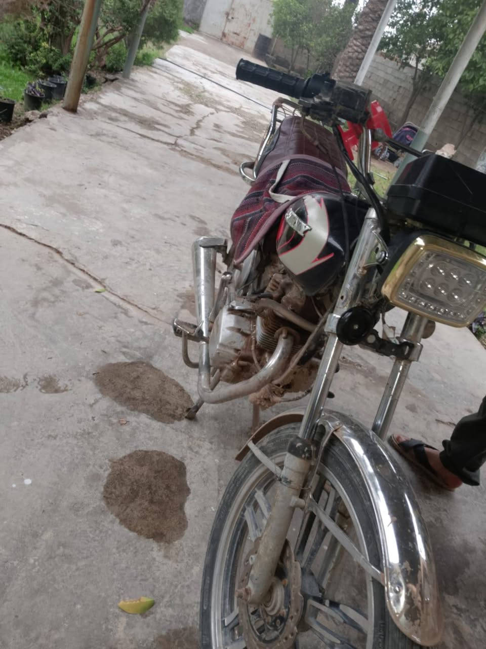 سلام عليكم دراجه سيفان 19 دراجه خير من لله يرادلها ترتيبات بدون اوراق بس شغل ومشي وين ما يعجبك دراجه خير من الله 300او بيها مجال


**إذا كنت صاحب هذا الإعلان وتريد حذفه لأي سبب، رجاءا أرسل رسالة إلى الدعم الفني**