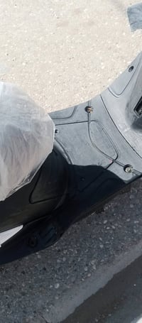 ماكس • كامله • زنجيل