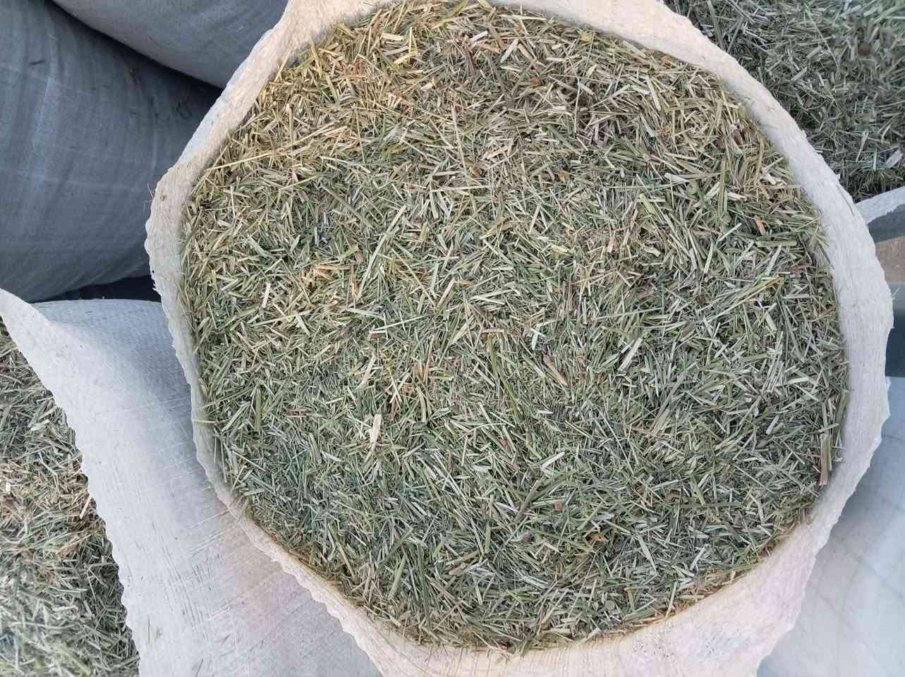تبن جت درجة اولى العدد 400 كونيه السعر الزوج 11الف العنوان الديوانية صدر الدغاره الاستفسار الاتصال على 
***********
***********
