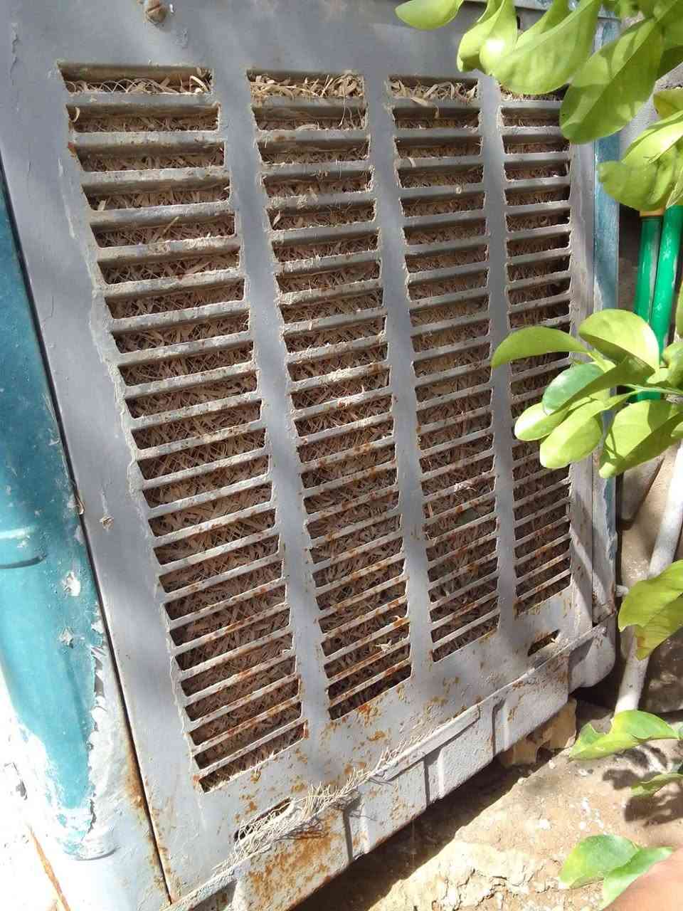 السلام عليكم
مبردة للبيع مستعملة ماطور محور قوي ليف جديد مستخدم أقل الشهر بيهة 2 واتربم قايش بعدة نضيف طوافة أصلية المبردة نضيفة بس أمانتاً بيهة زنجار قليل في بعض الأماكن السعر 70 ألف وبي مجال وتدللون


**إذا كنت صاحب هذا الإعلان وتريد حذفه لأي سبب، رجاءا أرسل رسالة إلى الدعم الفني**