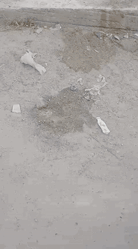 سلام عليكم قطعه البيع 100متره سند 25 رفت كامل *********** زراعي المصري
