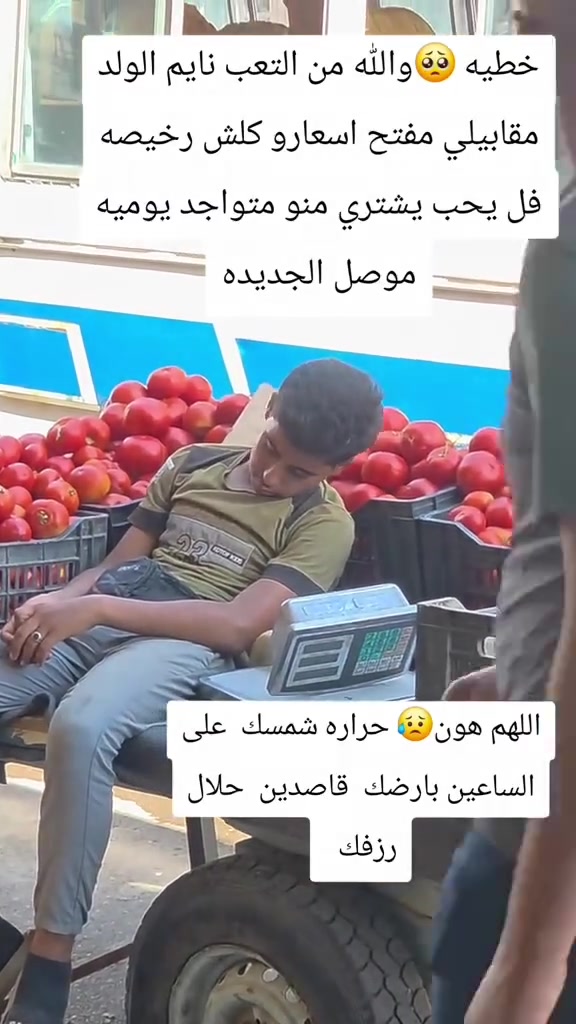 #تنزيلات #العبيدي #متابعه_لحسابي👇 #اسعار_خياليه #اسعار_خياليه_وعروووووض_نااااار😇


**إذا كنت صاحب هذا الإعلان وتريد حذفه لأي سبب، رجاءا أرسل رسالة إلى الدعم الفني**