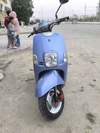 ماكس بوليس • مكفولة • حالة زينة