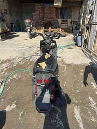 سكنس جبلي • استعمال قليل • نزلت من الحاوية