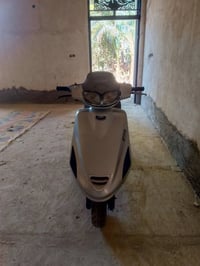 فراشه • فحل • معدلة٢٥٠