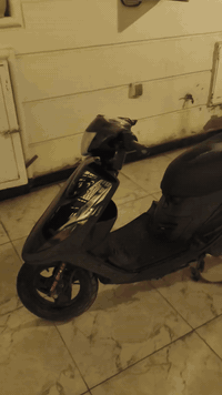 ماكس • مكينة عدله • كفالة عامه