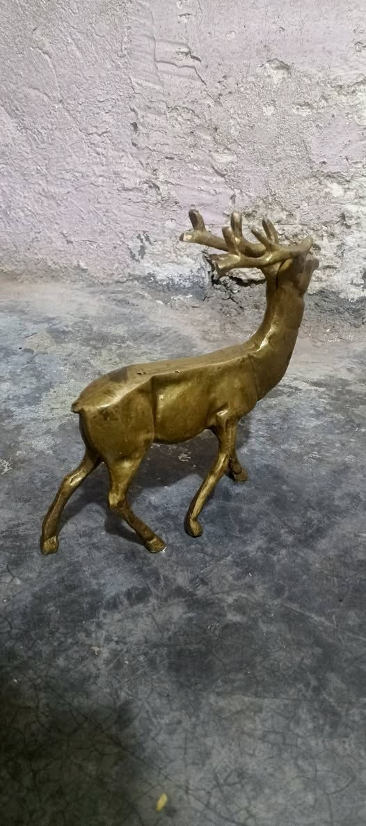 سلام عليكم عندي غزال البيع قديم الزمان السعر المطلوب خاص رقم الهاتف ***********
